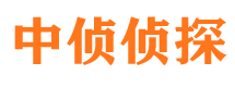 陆河市侦探公司